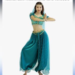 Disney Jasmine belly dance costume adult extra large worn once